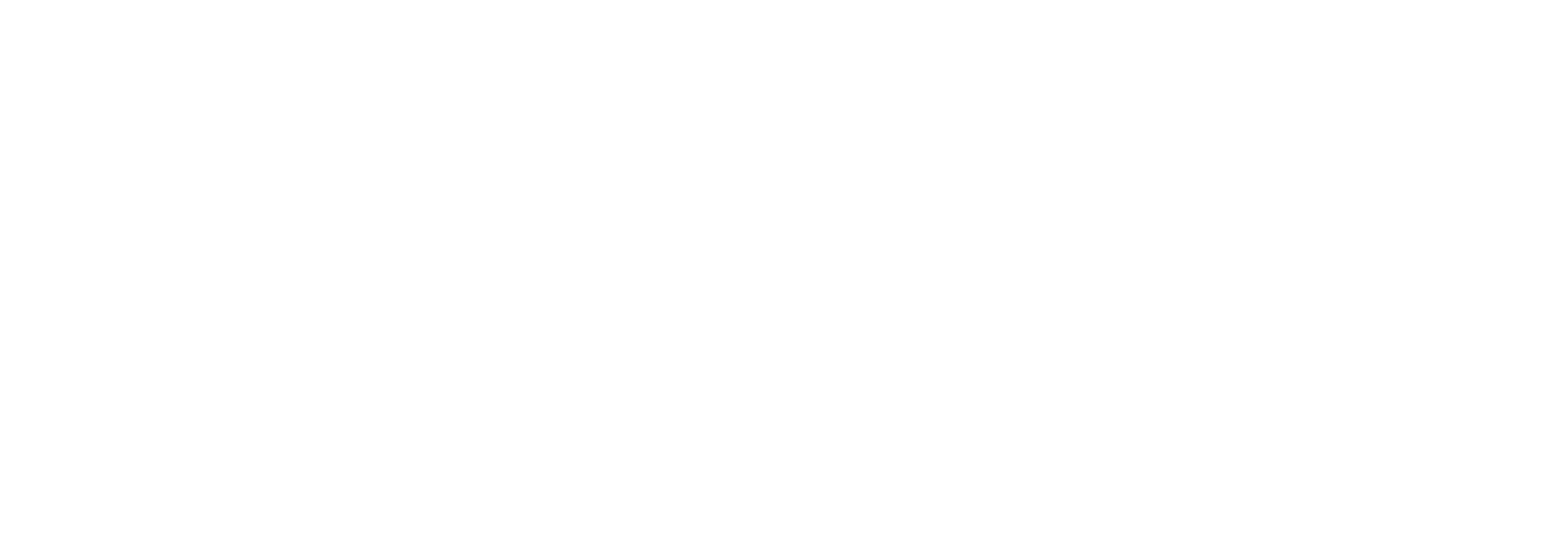 Logo ICSUM